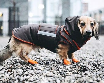 Dachshund Dog Raincoat With Hood and Neck Warmer Brown Custom