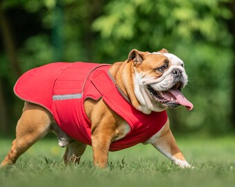 English Bulldog Extra Warm Winter Dog Coat Large Dog Jacket Custom made  Dog Winter Coat Waterproof Fleece Custom made for your dog