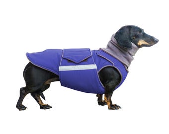 Dachshund Extra Warm Winter Coat with underbelly protection and neck warmer