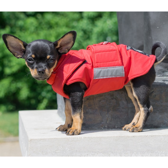 Gilet jaune pour chien. Veste réfléchissante pour chiens – Stock de cadeaux