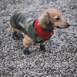 Camo Winter Dog Coat with neck warmer, hood and underbelly protection Waterproof / Fleece dog clothes Custom made for your dog image 3