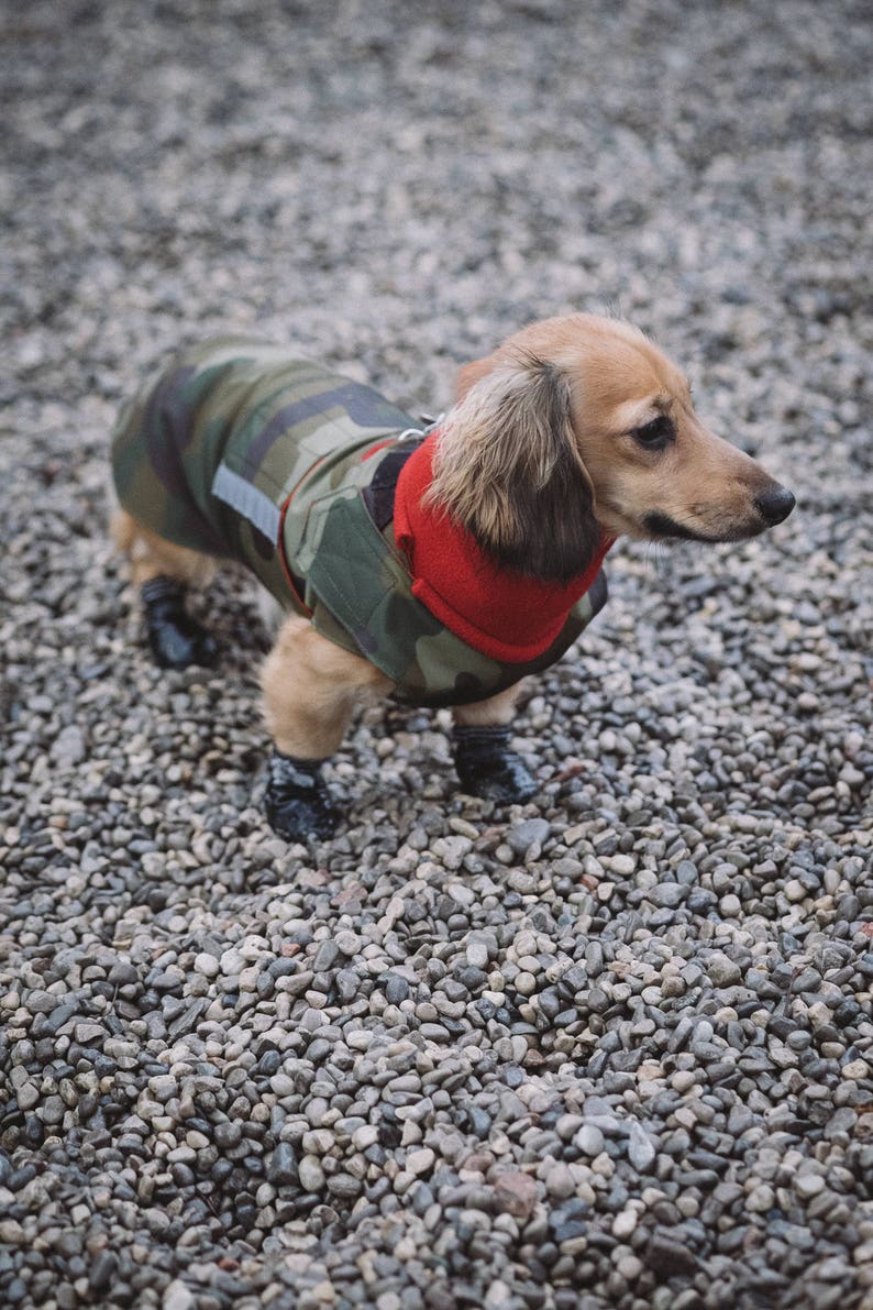 Camo Winter Dog Coat with neck warmer, hood and underbelly protection Waterproof / Fleece dog clothes Custom made for your dog image 3