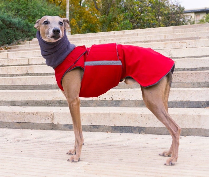 Winter Dog Coat With Snood and Underbelly Protection Polar Etsy