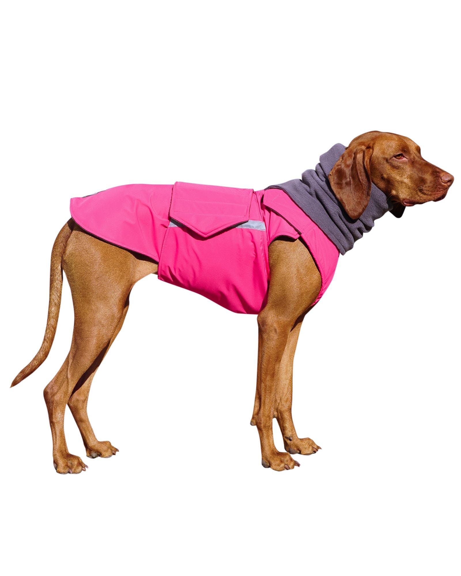Poncho Per Cani Blaser | Impermeabile, Antivento, Taglie S–L - Caccia Shopping