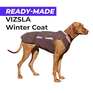 Ready-made Vizsla Winter Coat Vizsla Jacket Waterproof outer with fleece lining image 1