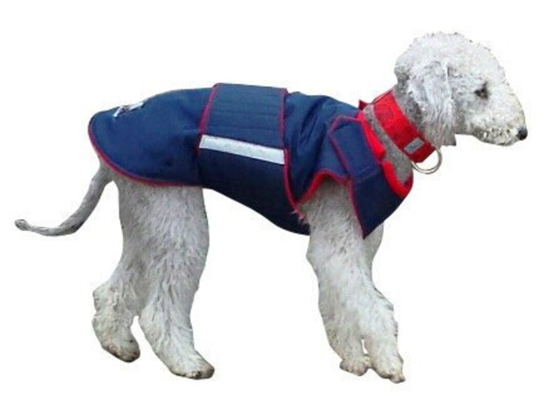 Winter Dog Coat Dog Jacket Custom Made Dog Coat Waterproof / Fleece