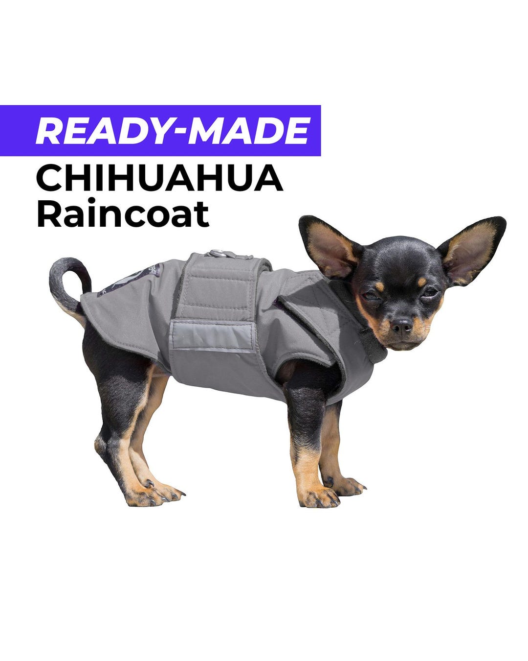Manteau de pluie chihuahua prêt à l'emploi Veste chihuahua
