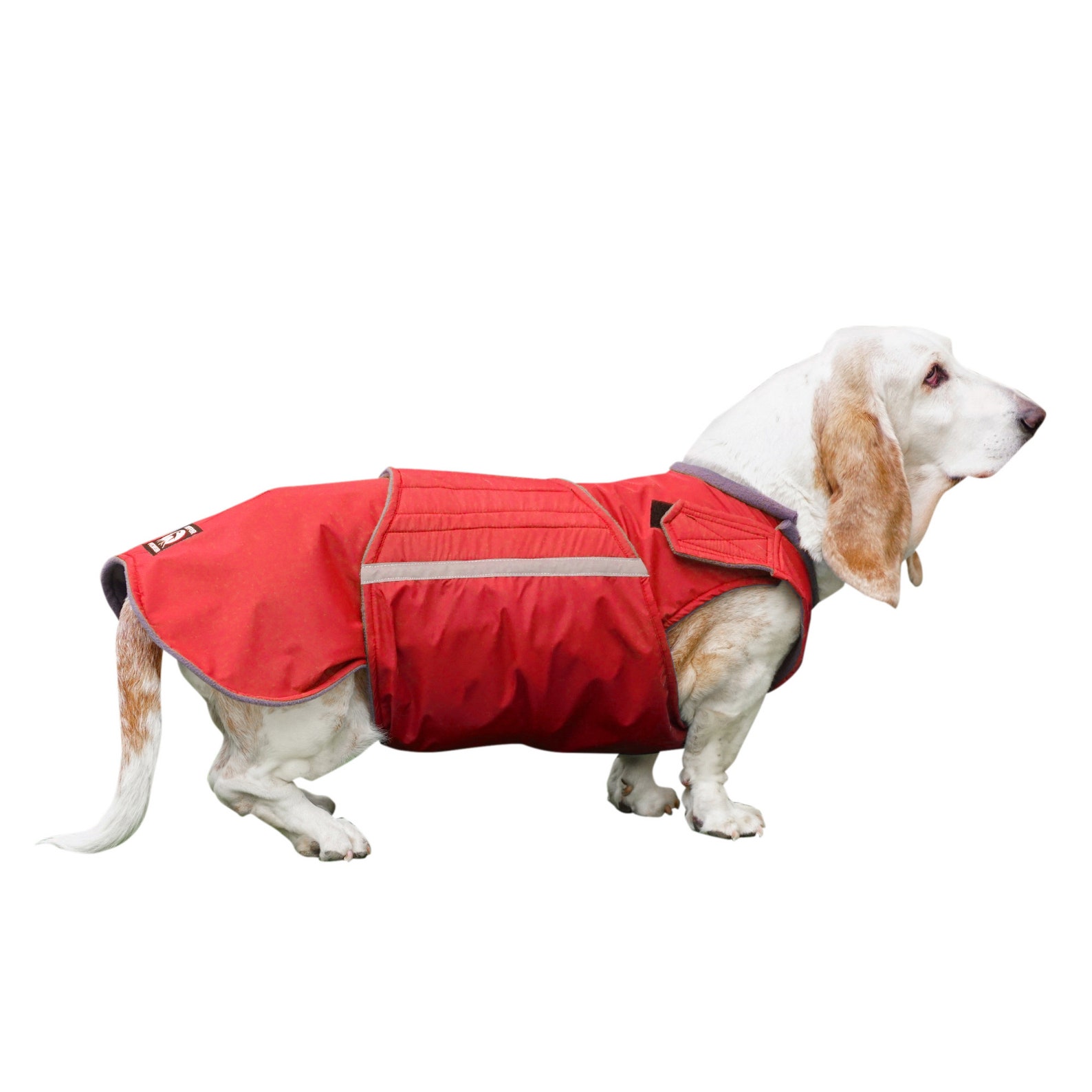 Coats For Basset Hounds
 Ready made Basset Hound Winter Coat Basset Hound Jacket Etsy