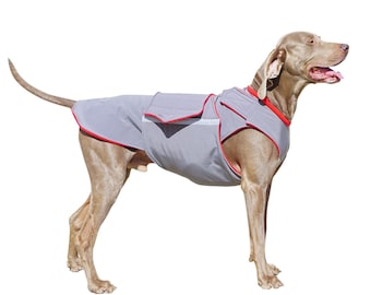 Weimaraner Raincoat, Full belly cover, Waterproof, Custom-made