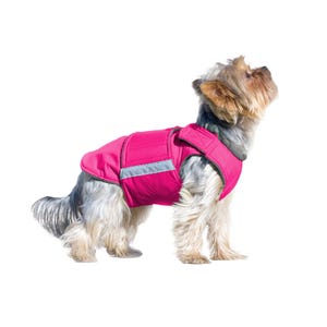 Yorkshire Terrier Winter Jacket with Belly Protection – Made to Measure
