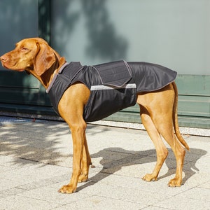 Ready-made Vizsla Winter Coat Vizsla Jacket Waterproof outer with fleece lining image 8