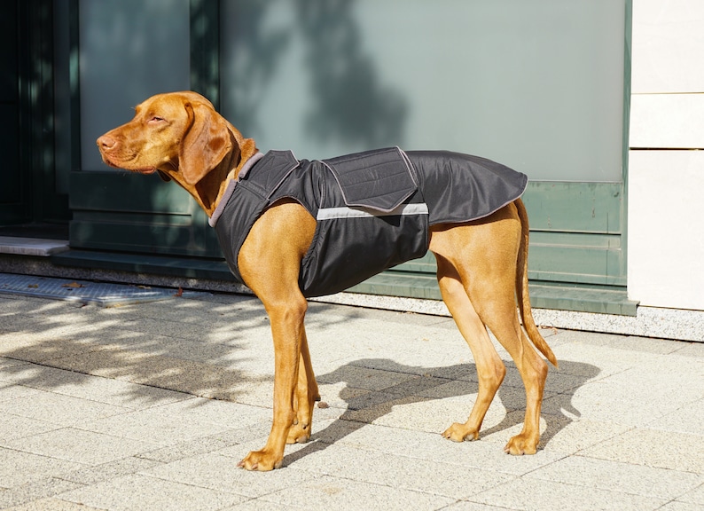 Ready-made Vizsla Winter Coat Vizsla Jacket Waterproof outer with fleece lining image 8