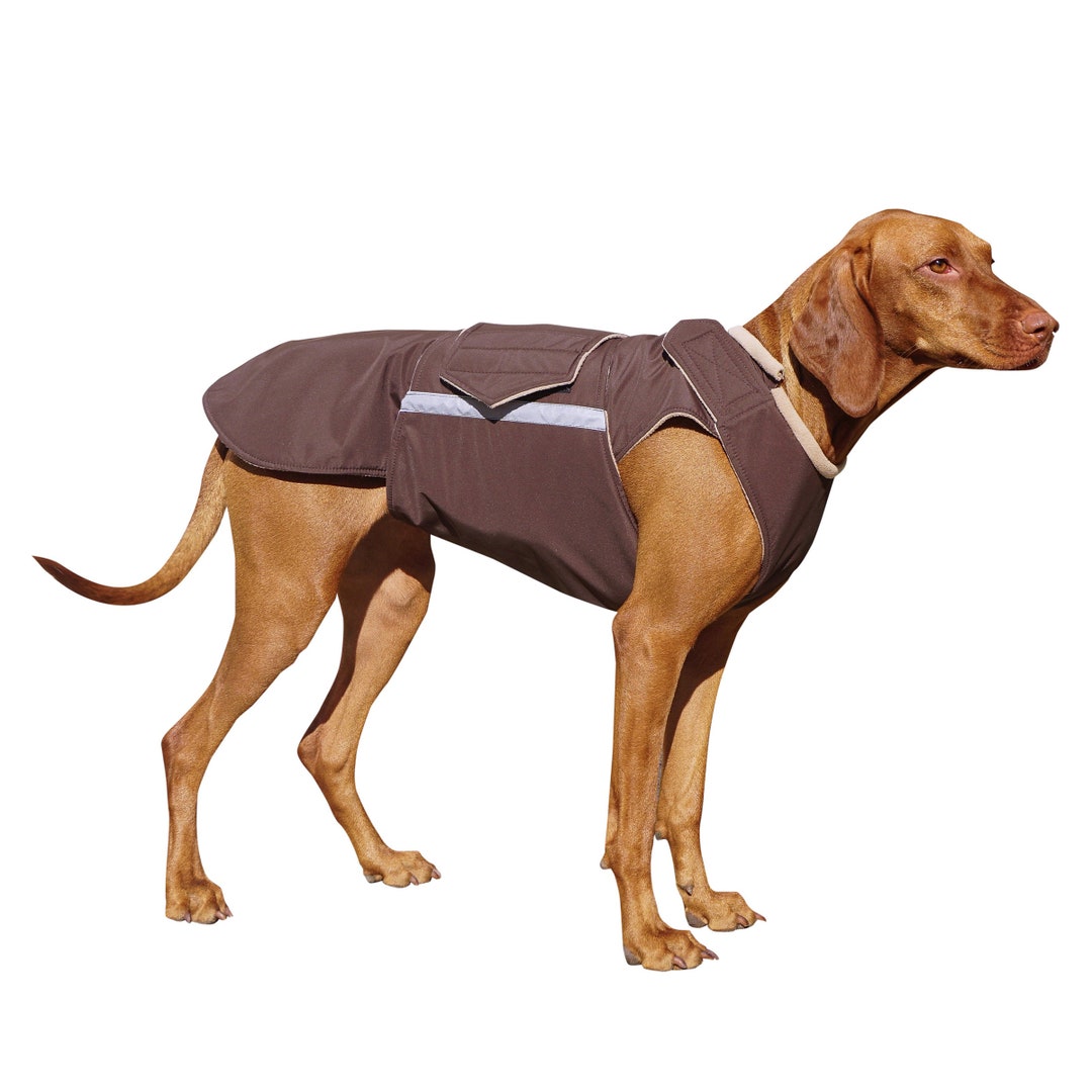 Vizsla Winter Dog Coat Custom Made Dog Raincoat Dog Jacket Waterproof