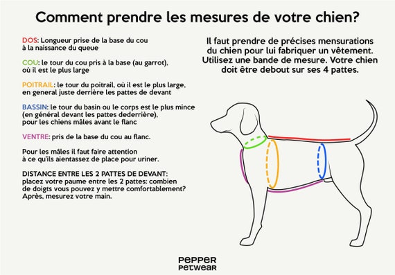 Weimaraner Coat Custom Made Dog Raincoat Dog Jacket Waterproof