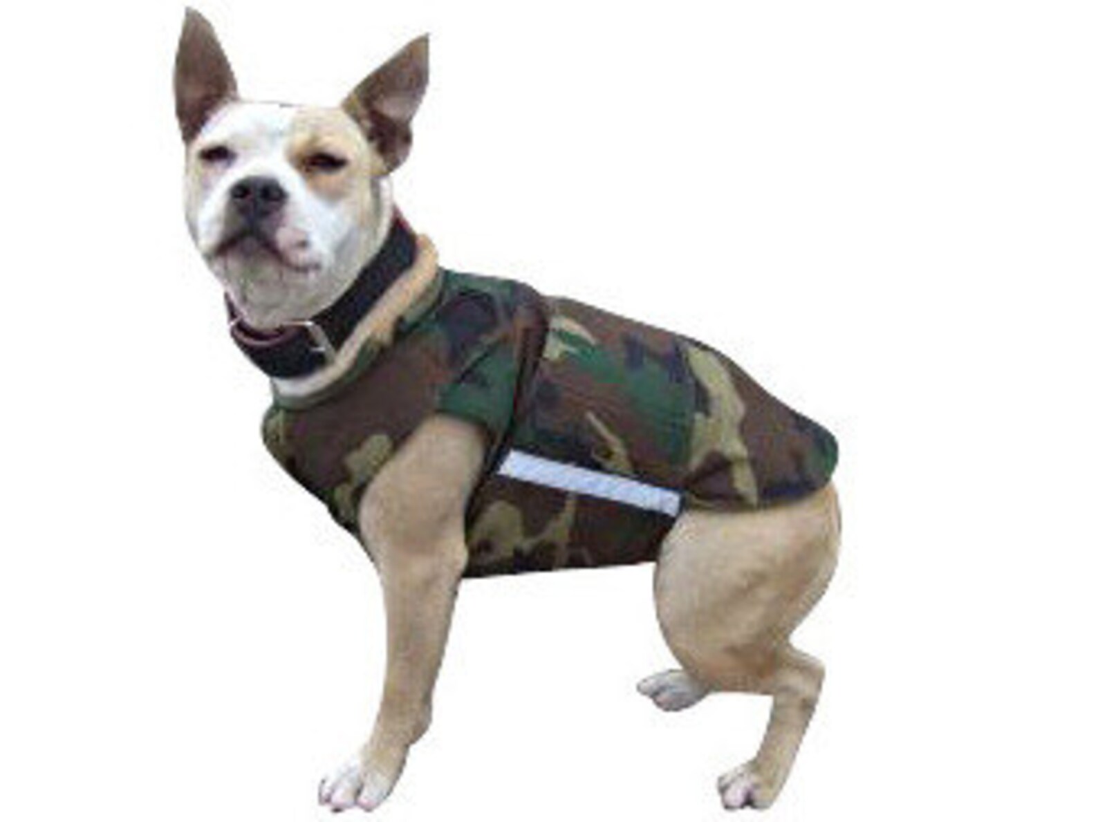 Boston Terrier Winter Coat Dog Jacket With Underbelly Etsy