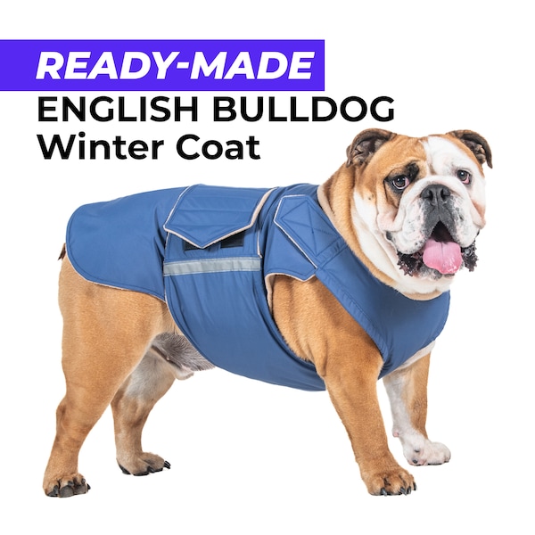 Dog Coat English Bulldog Etsy