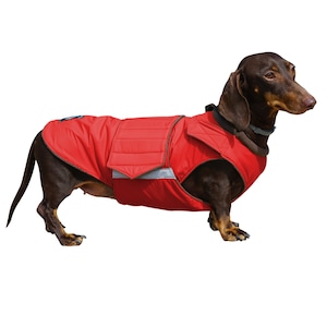 Dog Winter Coat with underbelly protection - Dachshund Coat - Custom made dog clothes - Waterproof / Fleece Dog Jacket - MADE TO ORDER
