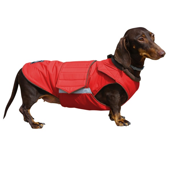 Dog Winter Coat with underbelly protection - Dachshund Coat - Custom made dog clothes - Waterproof / Fleece Dog Jacket - MADE TO ORDER