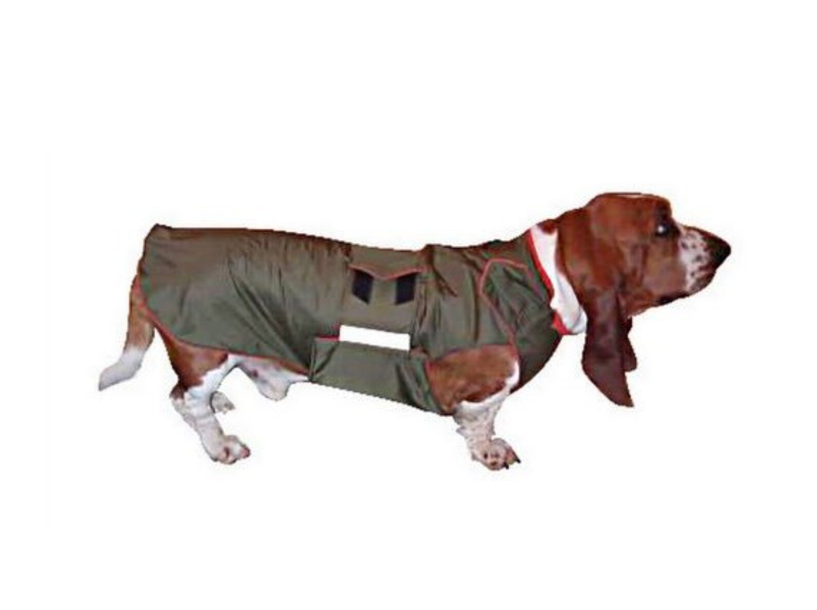 Basset Hound Dog Raincoat Dog Rain Jacket Waterproof Dog Etsy