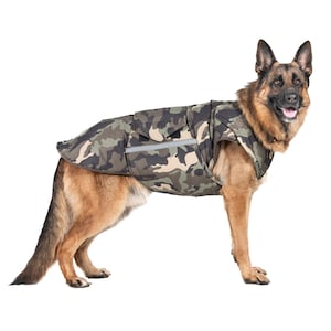 German Shepherd Softshell Winter Jacket – Custom Made