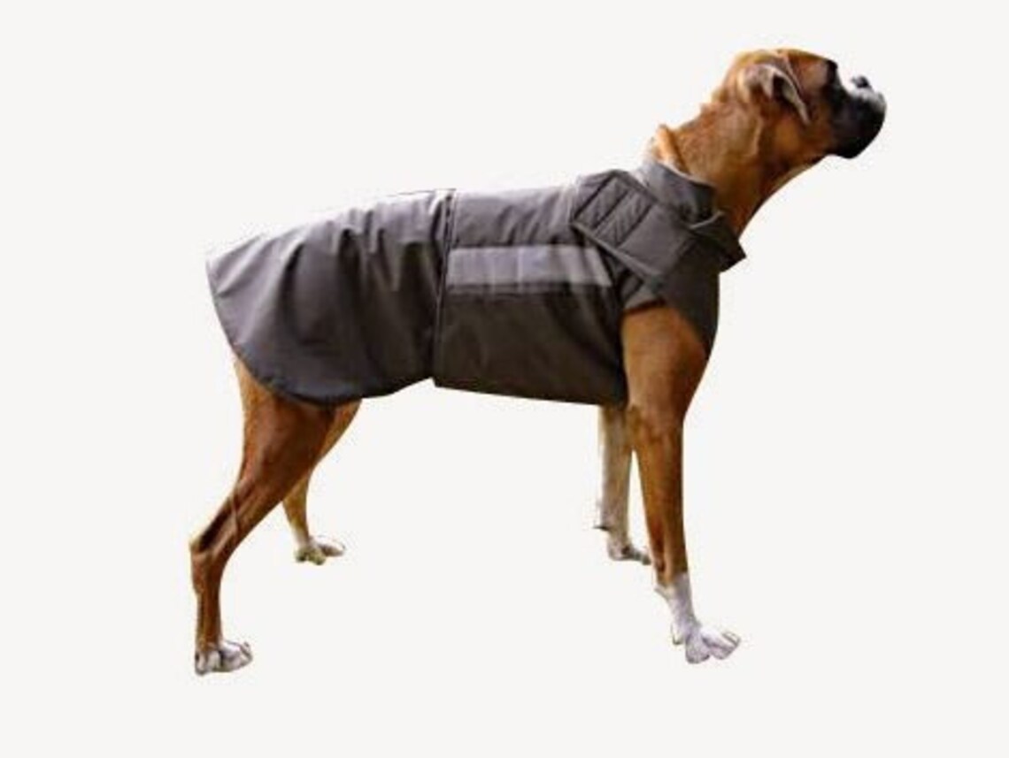 Boxer Dog Coat Winter Dog Jacket Softshell Outer With Etsy