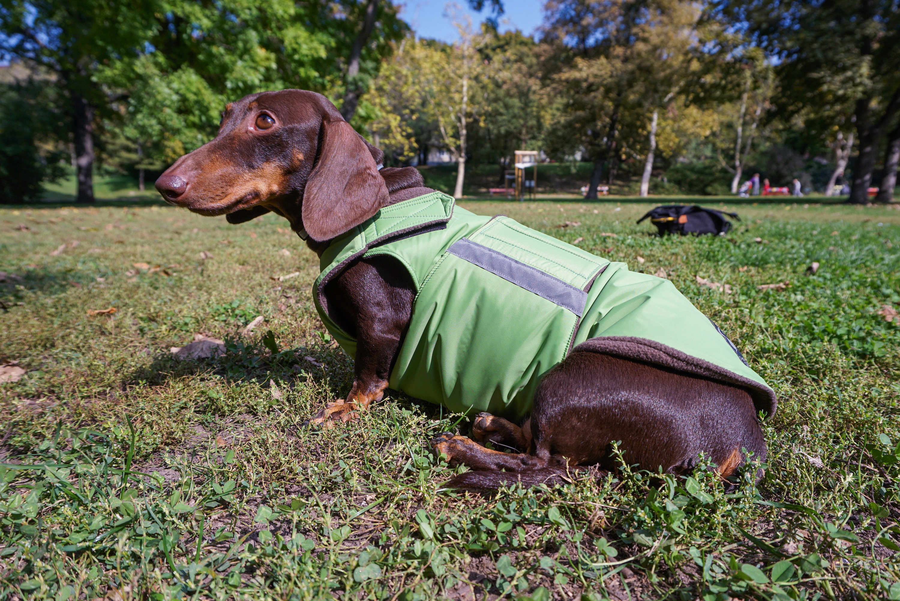 Teckel Winter Dog Coat Dog Jacket met onderbuik bescherming Etsy