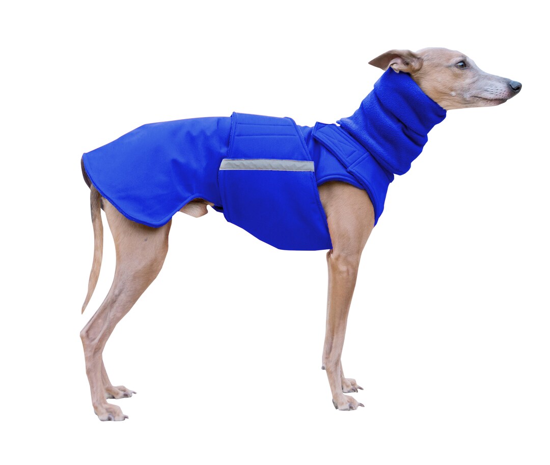 Greyhound Dog Raincoat With Snood and Underbelly Protection Etsy