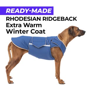 Può includere: Un cane Rhodesian Ridgeback che indossa un cappotto invernale blu e marrone. Il cappotto ha un design trapuntato e un bordo bianco. Il testo "READY-MADE" è in un riquadro blu nella parte superiore dell'immagine. Il testo "RHODESIAN RIDGEBACK Extra Warm Winter Coat" è sotto il riquadro blu.