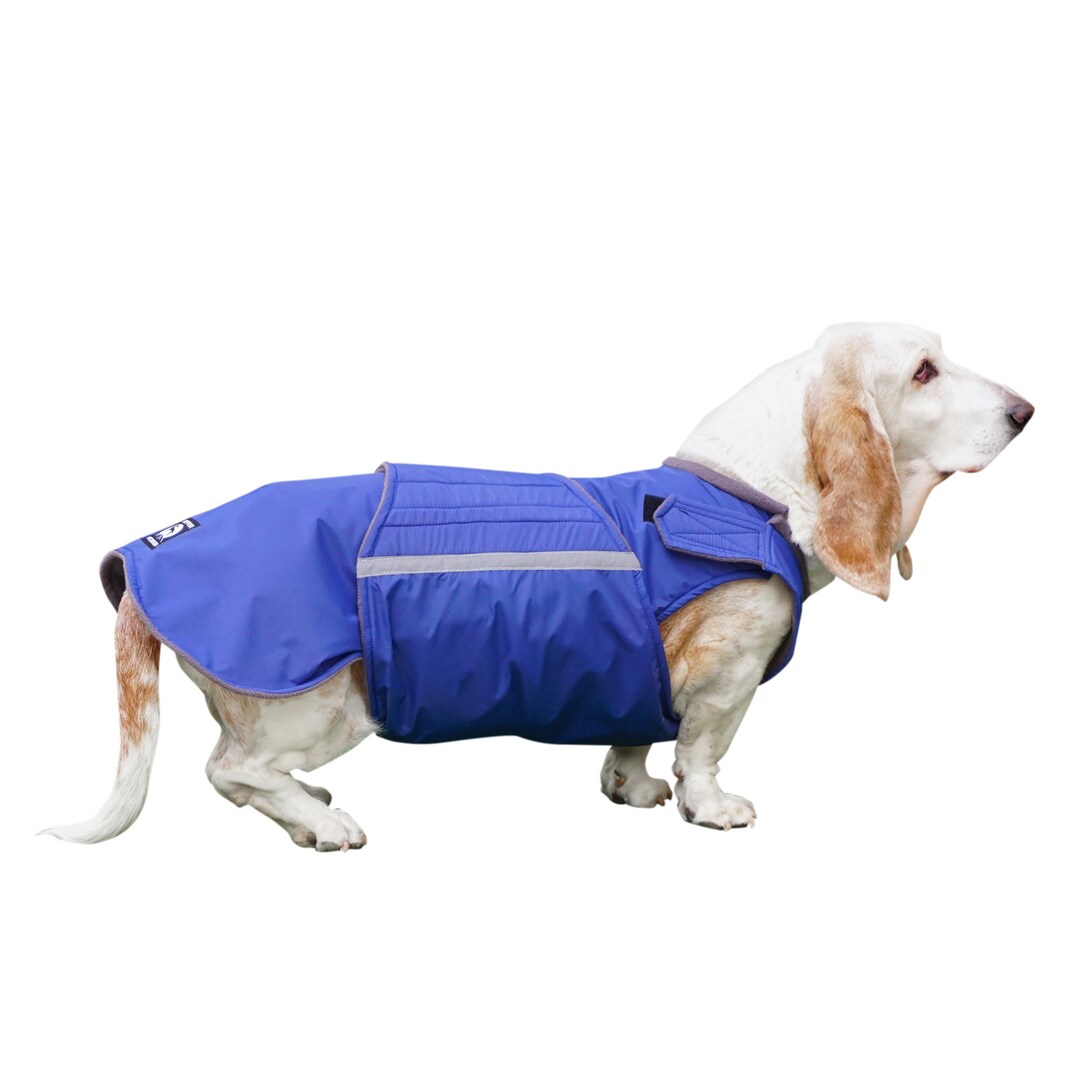 Basset hotsell hound raincoat