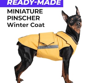 Ready-made Miniature Pinscher Winter Coat - waterproof outer and fleece lining