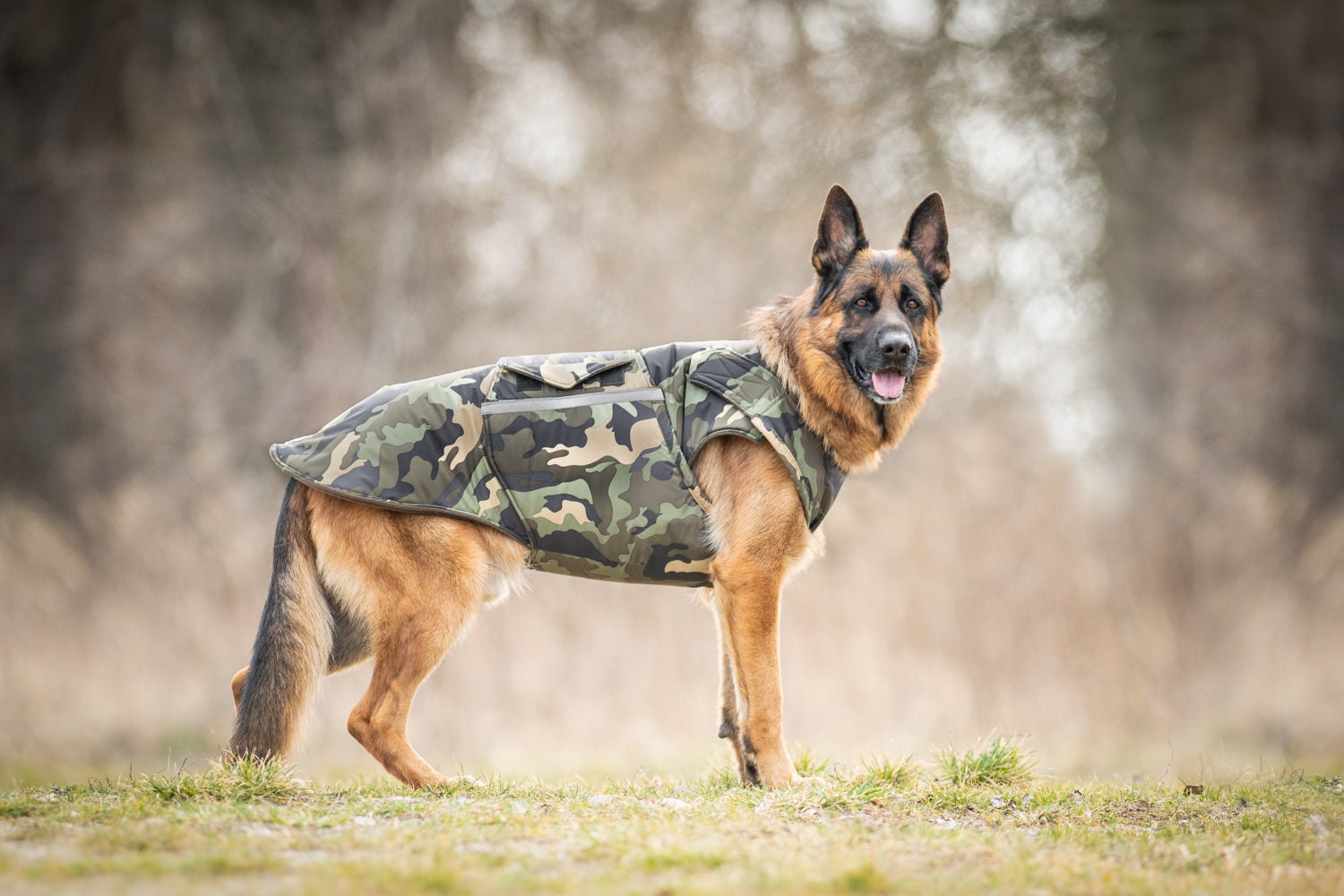 German Shepherd Jacket German Shepherd Jacket