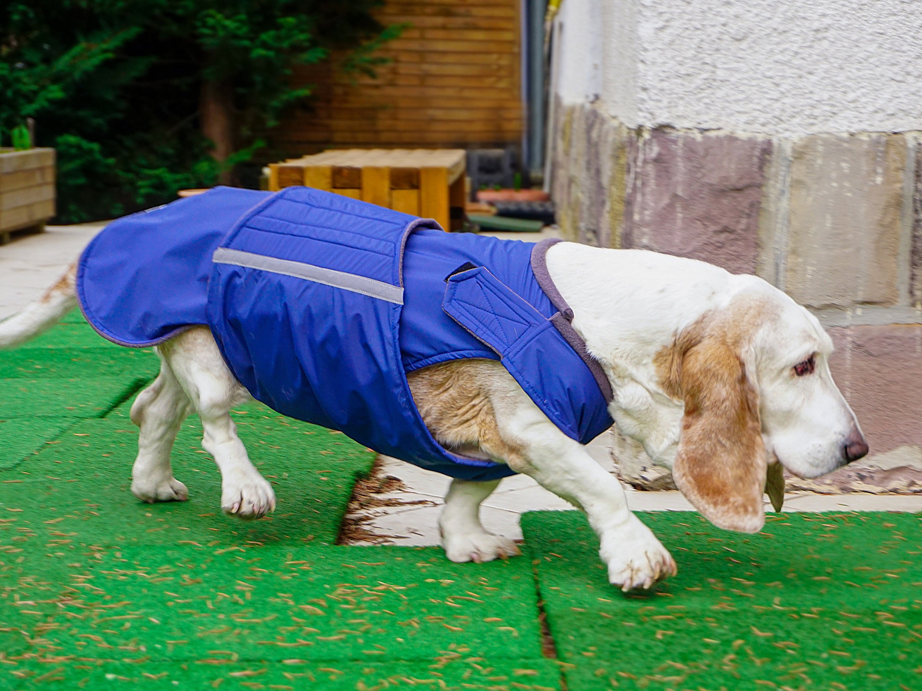 Lightweight waterproof dog coat with on sale underbelly