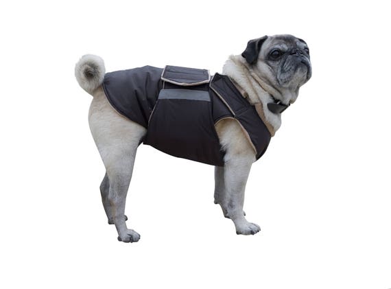 difícil Milagroso tristeza Pug Coat Chaqueta de invierno para perros con cubierta de - Etsy España