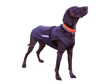 German Pointer SoftShell Dog Coat - Winter Dog Coat - Custom Dog Raincoat - SoftShell / Fleece coat - MADE TO MEASURE