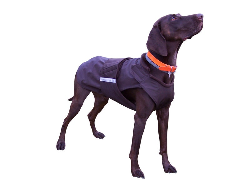 Weimaraner SoftShell Dog Coat Brown Winter Dog Coat Custom Etsy