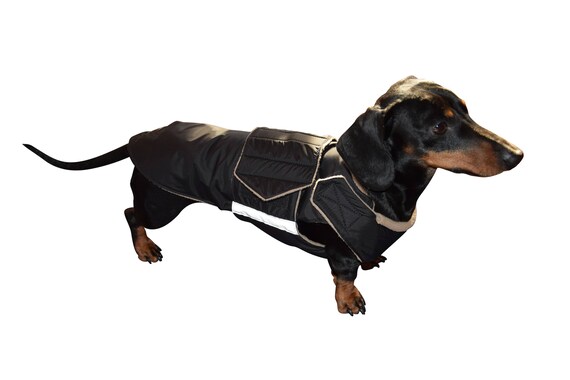 Dachshund Winter Dog Coat Jacket With Underbelly Uk Dachshund Winter Dog Coat Jacket, Dachshund Winter Coat With Hood Uk