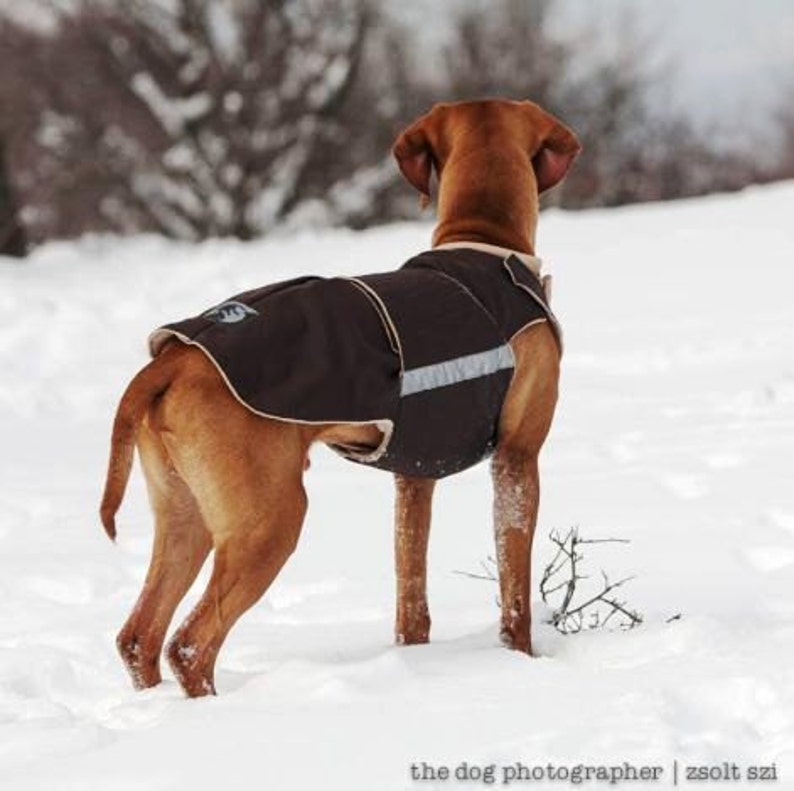 Vizsla Winter Dog Coat Custom made Dog Raincoat Dog Jacket Etsy