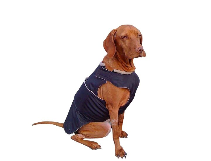 Vizsla Winter Dog Coat Custom made Dog Raincoat Dog Jacket Etsy
