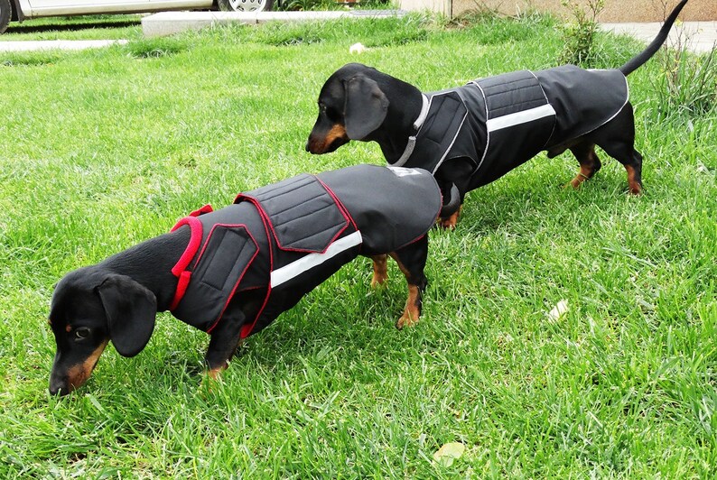 Dackel Winter Hund Mantel mit Unterbauch Schutz Hundejacke Etsy