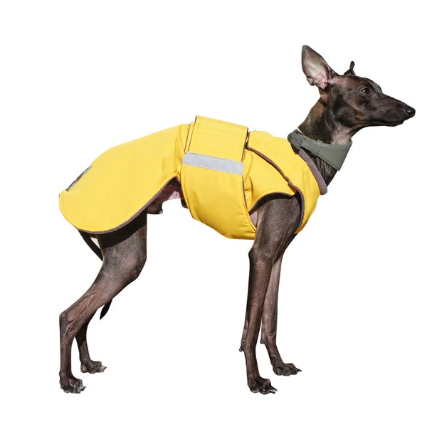 Italian Greyhound Raincoat with underbelly protection - Dog Jacket - Waterproof dog clothes - Custom made for your dog