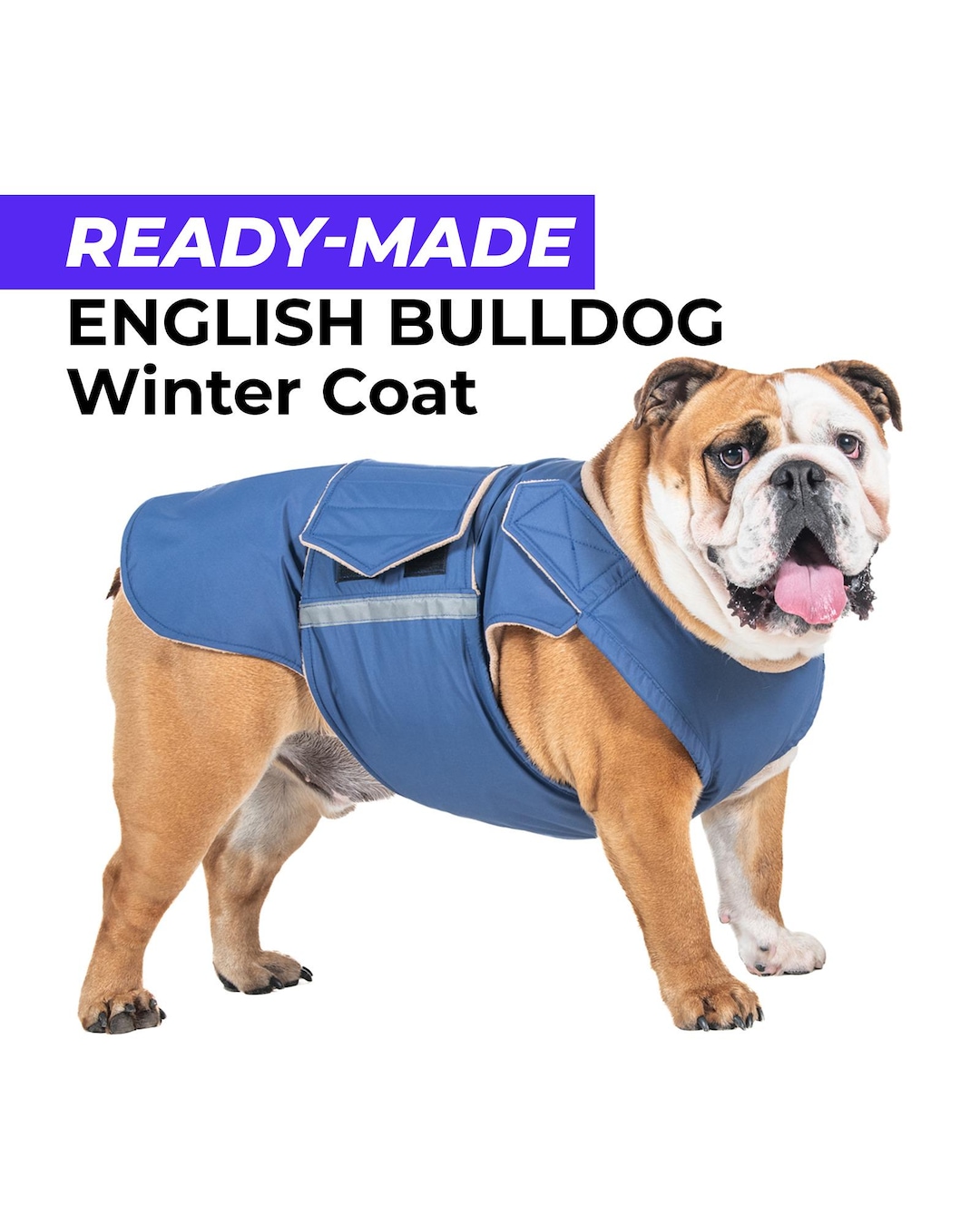 Ready-made English Bulldog Winter Coat English Bulldog Jacket