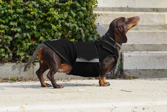 Abrigo invierno Dachshund ya Chaqueta Dachshund Etsy España