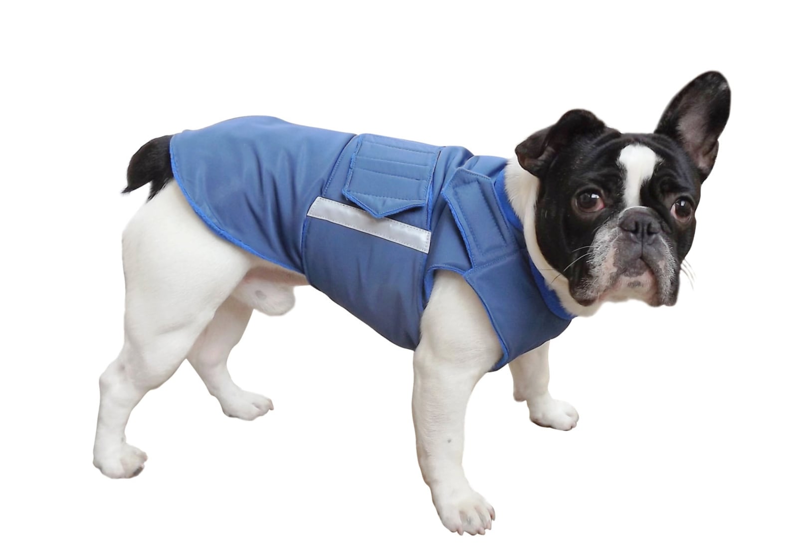 Dog Jacket for Pugs Dog Coat Extra Warm Winter Dog Coat Etsy UK