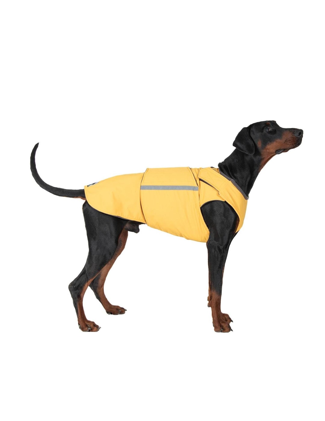 NORDICA (ノルディカ) Dobermann Rain Coat Raincoat Nordica Doberman Rain Coat - 2024/25 | TEAMskiwear