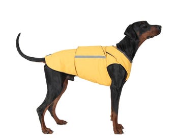 Pet Gift Dobermann Coat Pet Dog Winter Jacket Fall Rainy Weather