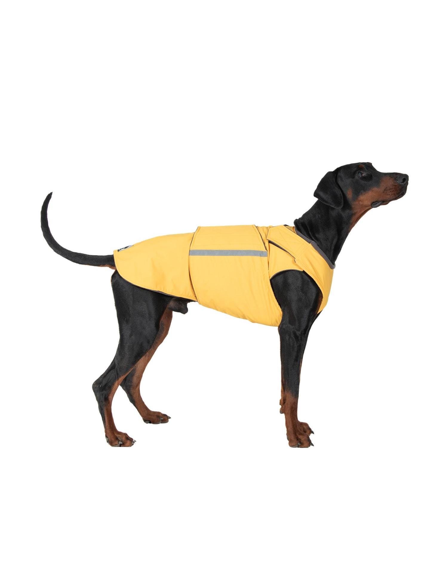 Doberman Raincoat - Waterproof, Full Belly Cover - Custom Made - Etsy