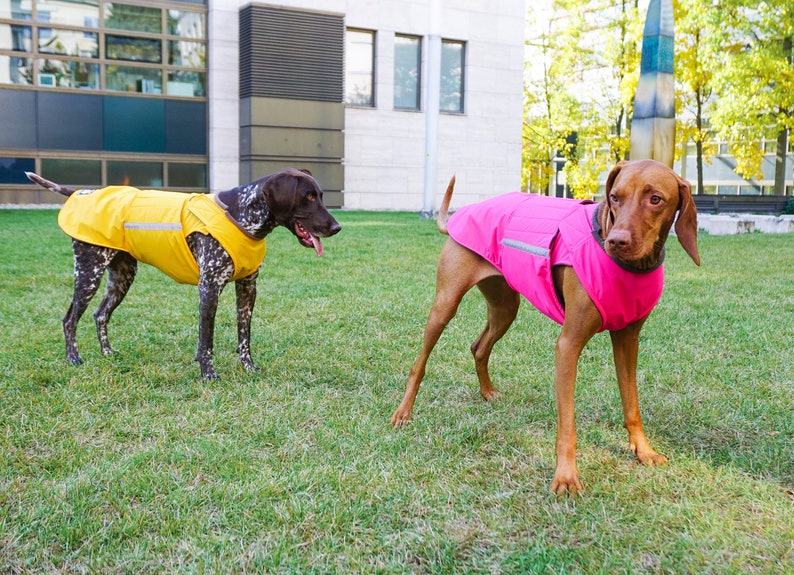 German Pointer Dog Raincoat Dog Jacket Custom Dog Coat Waterproof Dog Clothes Dog Rain Coats Dog clothing MADE TO ORDER image 4