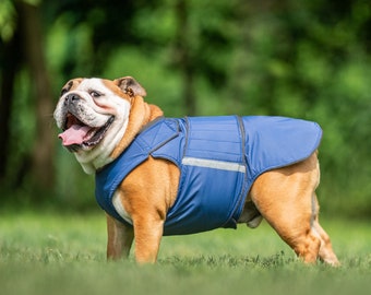 ジャケット・アウター Bulldog Ready-made English Bulldog Raincoat - English Bulldog Jacket