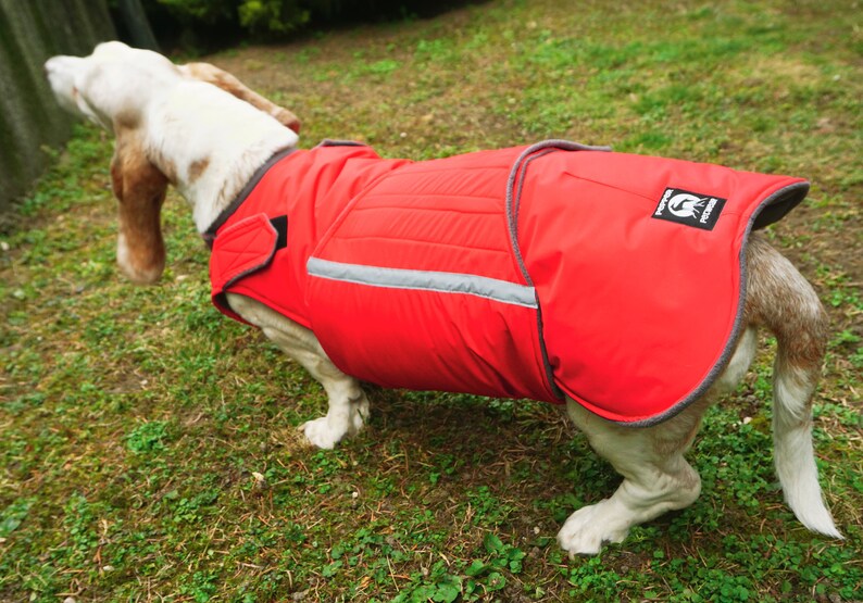 Basset Hound Extra Warm Winter Dog Coat Dog Jacket Custom Etsy