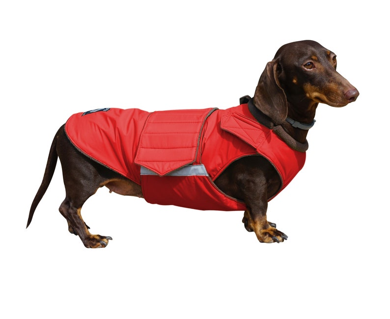 Dog Winter Coat With Underbelly Protection Dachshund Coat Etsy